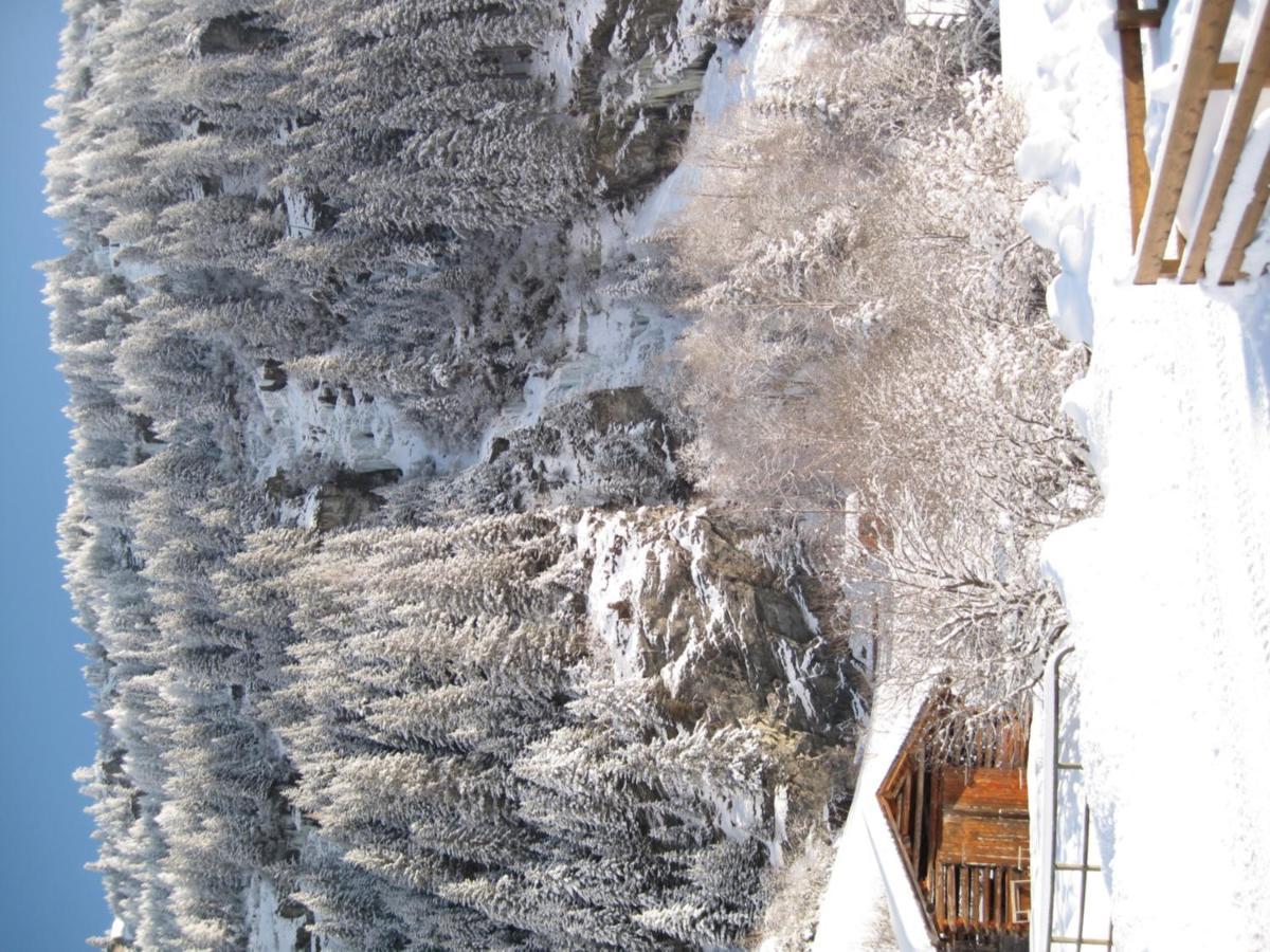 Alpina Appartement St. Leonhard im Pitztal Exterior foto
