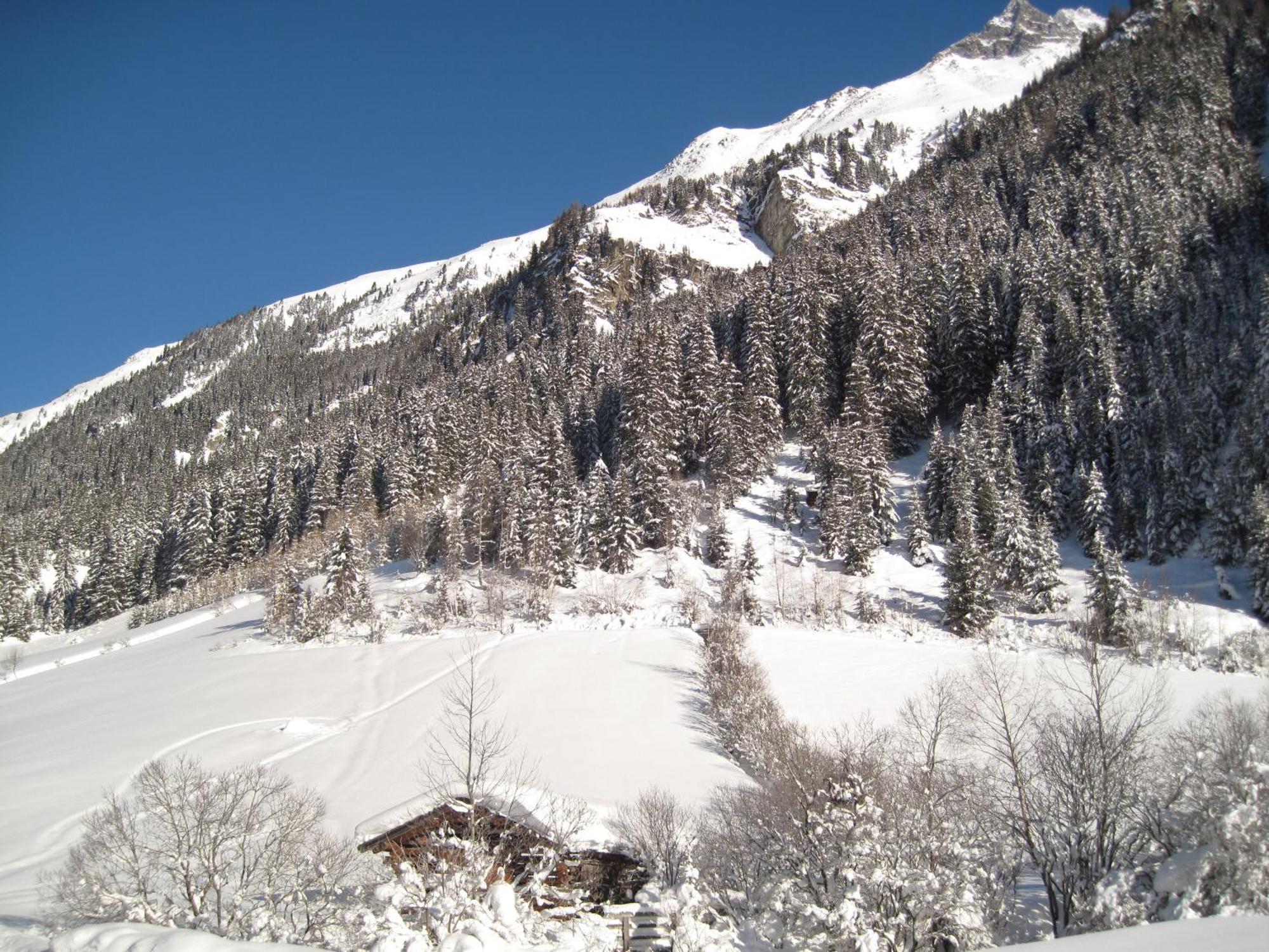 Alpina Appartement St. Leonhard im Pitztal Exterior foto